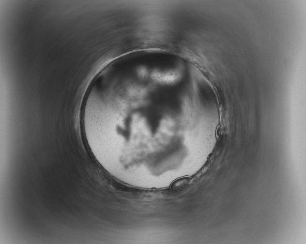 X0000094780099200711301554