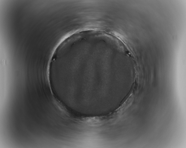 X0000094780100200711301554