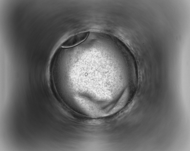 X0000094780102200711301554