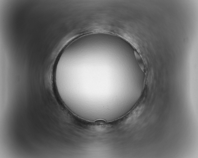 X0000094780103200711301554