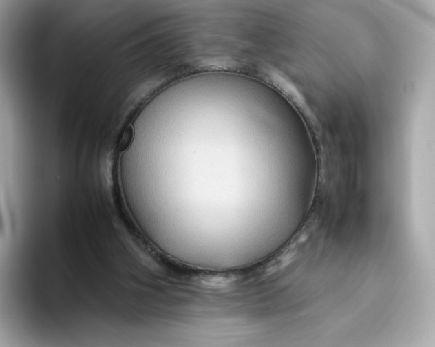 X0000094780106200711301554