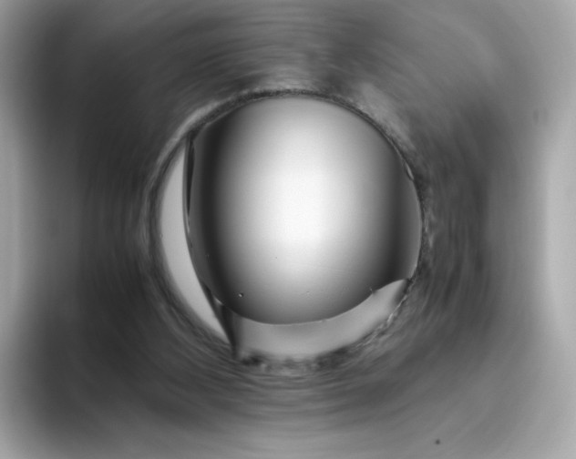 X0000094780108200711301554