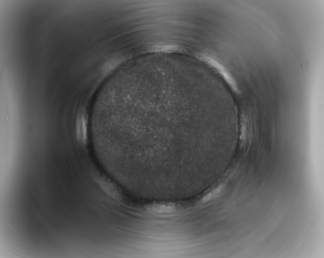 X0000094780110200711301554