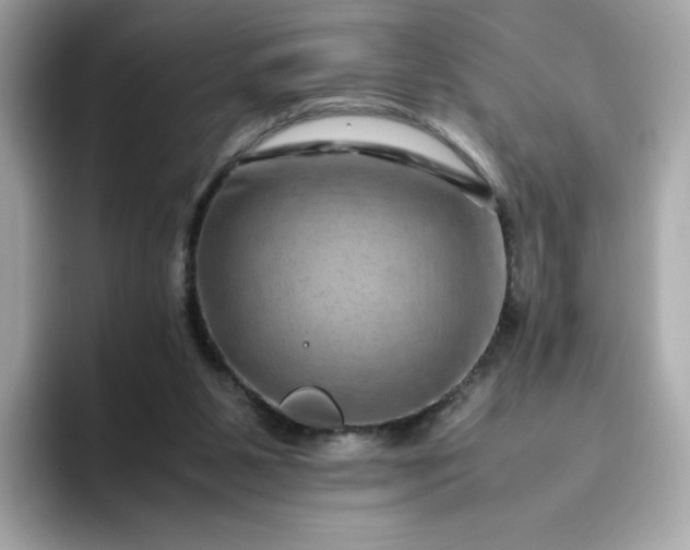 X0000094780111200711301554