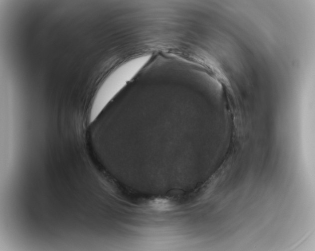 X0000094780114200711301554