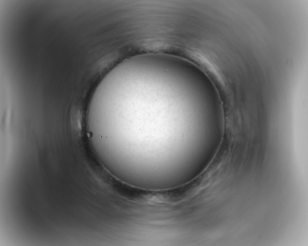 X0000094780115200711301554