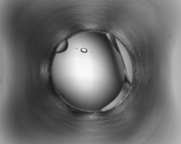 X0000094780116200711301554