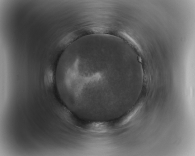 X0000094780117200711301554