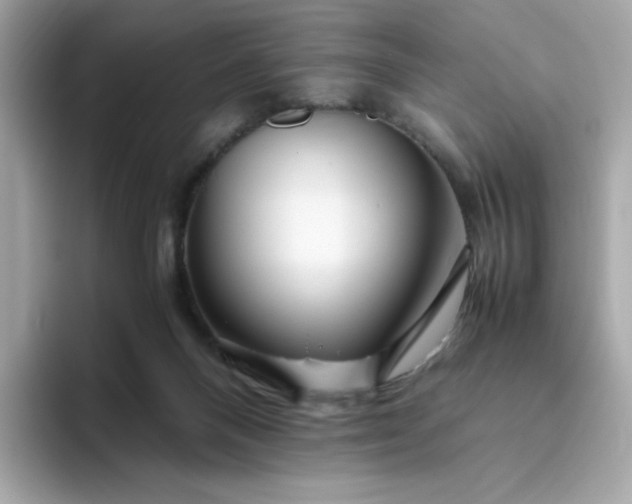 X0000094780120200711301554