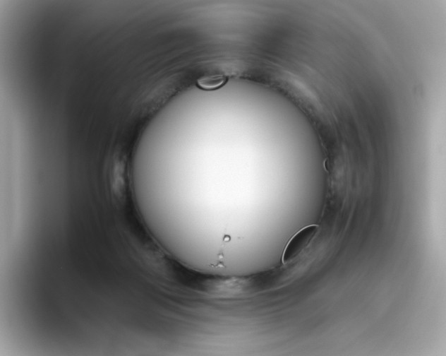 X0000094780122200711301554