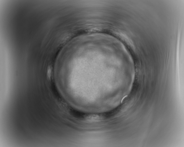 X0000094780123200711301554