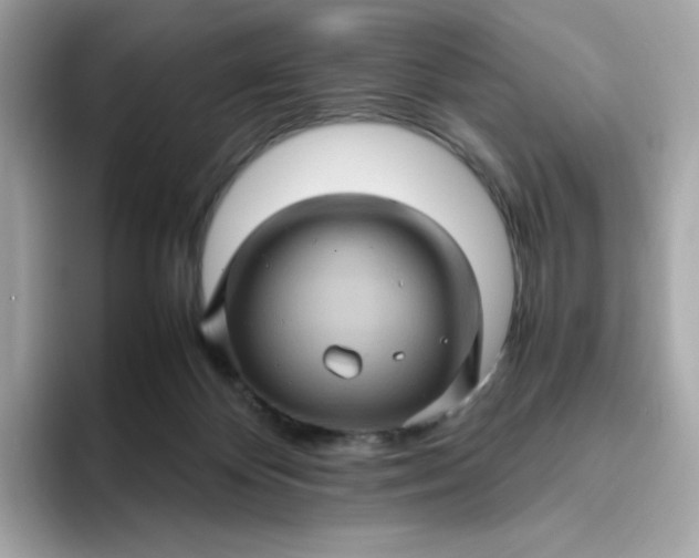 X0000094780124200711301554