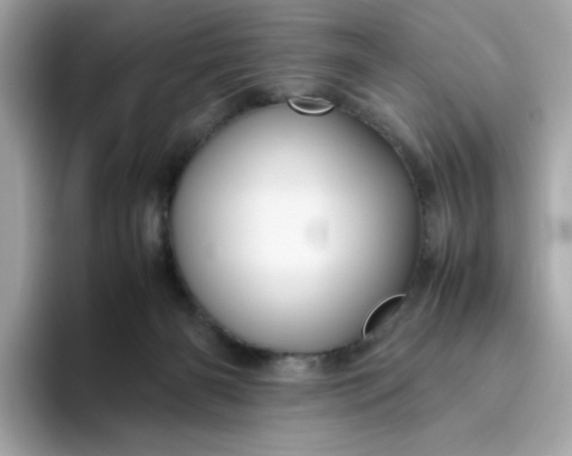 X0000094780126200711301554