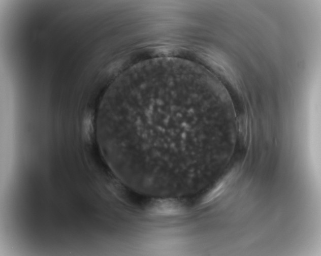 X0000094780127200711301554