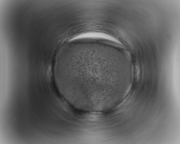 X0000094780128200711301554