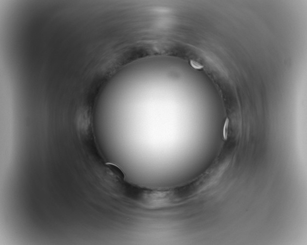 X0000094780129200711301554