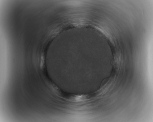 X0000094780130200711301554