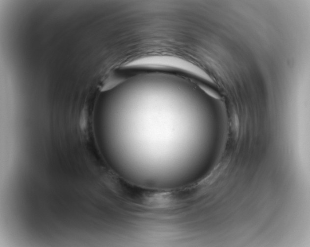 X0000094780132200711301554