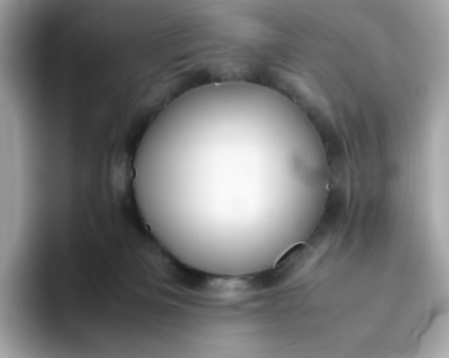 X0000094780133200711301554