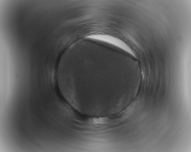 X0000094780134200711301554