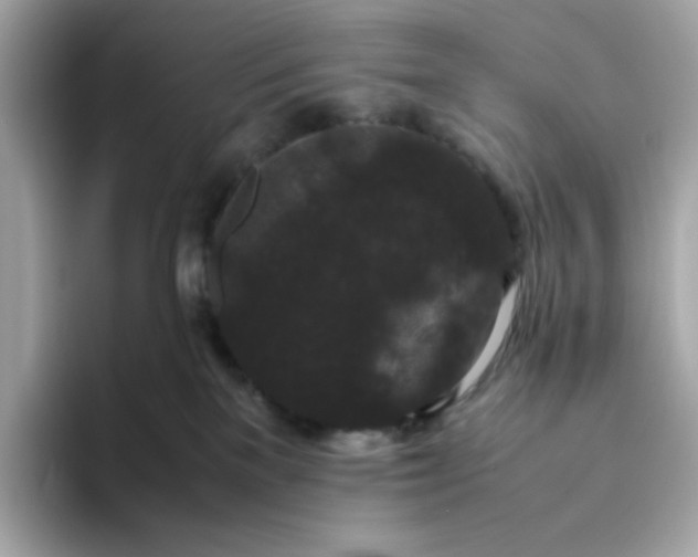 X0000094780137200711301554