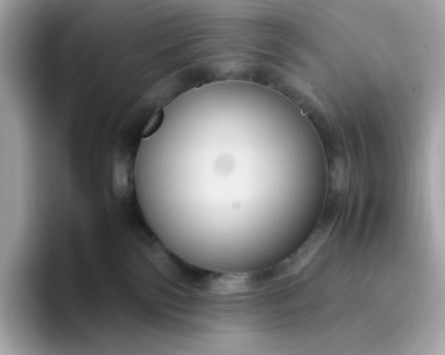 X0000094780138200711301554