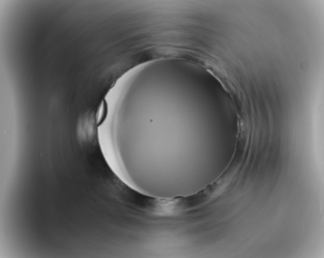 X0000094780143200711301553