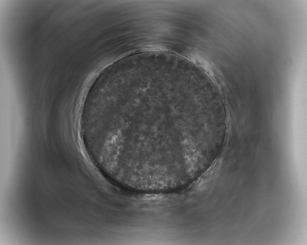 X0000094780145200711301553