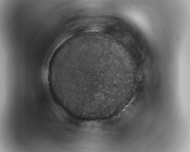 X0000094780146200711301553