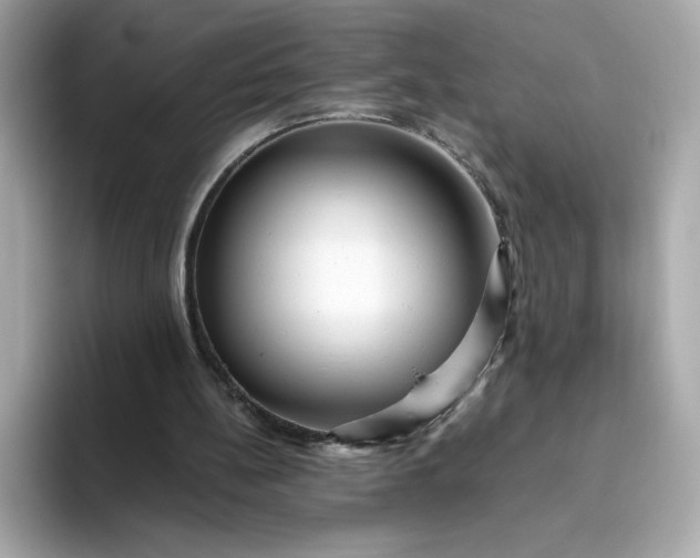 X0000094780148200711301553