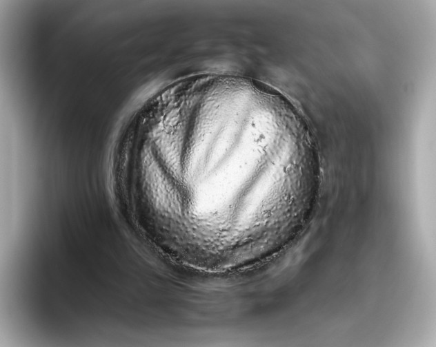 X0000094780149200711301553