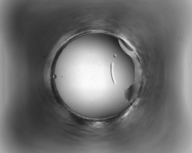 X0000094780151200711301553