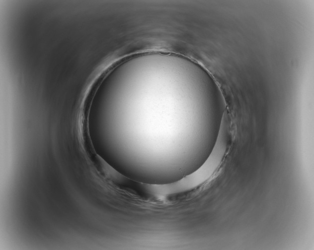 X0000094780152200711301553