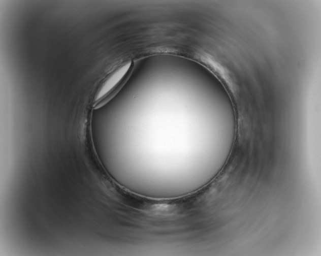 X0000094780153200711301553