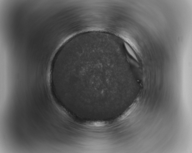 X0000094780156200711301553