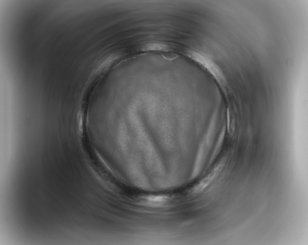 X0000094780157200711301553