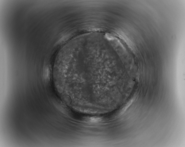 X0000094780165200711301553