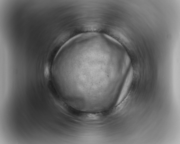 X0000094780166200711301553