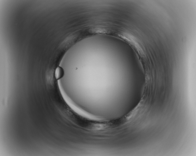 X0000094780167200711301553