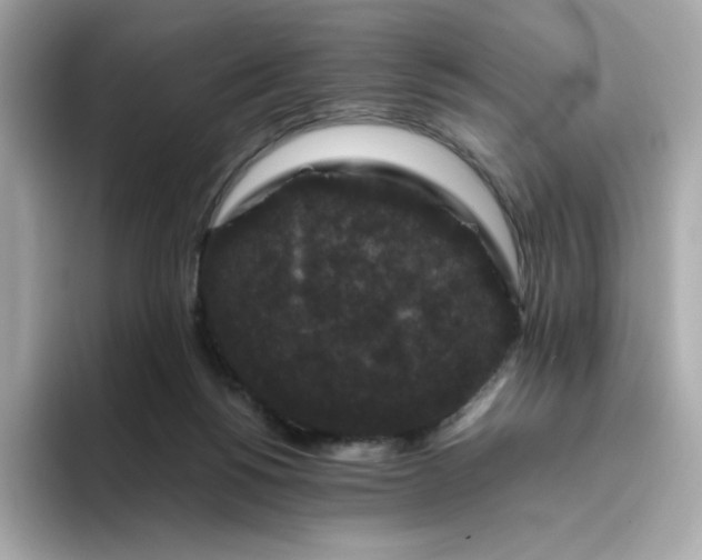 X0000094780168200711301553