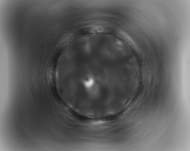 X0000094780169200711301553