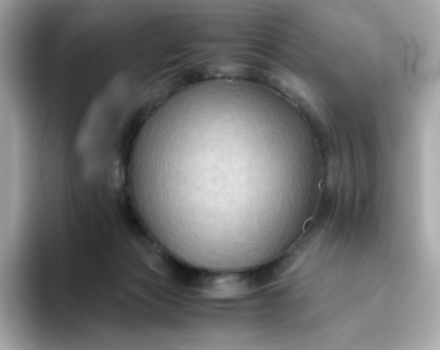 X0000094780173200711301553