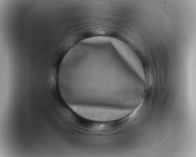 X0000094780174200711301553