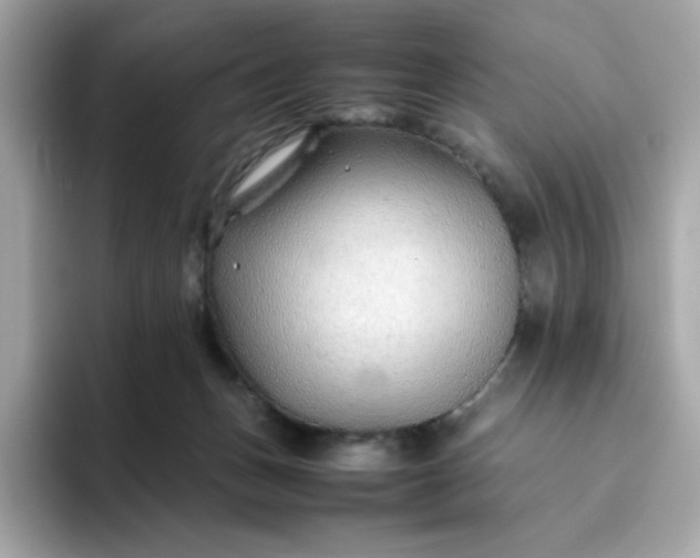 X0000094780175200711301553