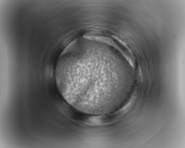 X0000094780178200711301553