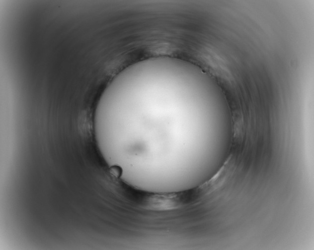 X0000094780179200711301553