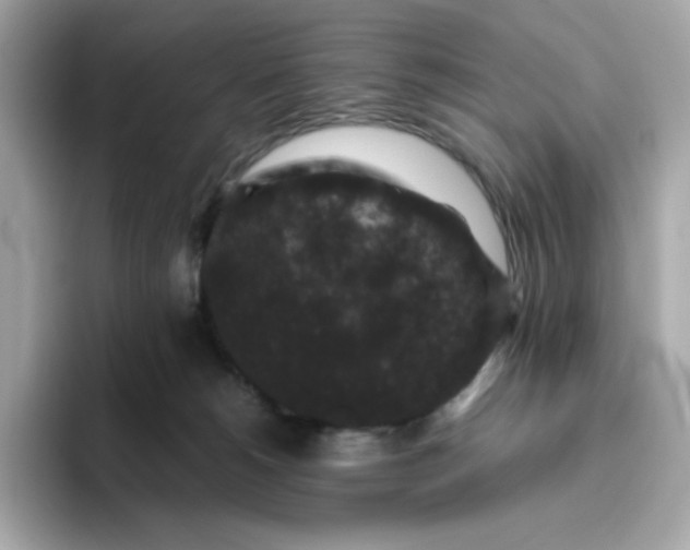 X0000094780180200711301553