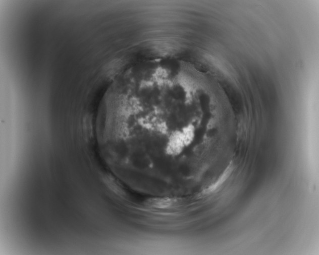 X0000094780182200711301553