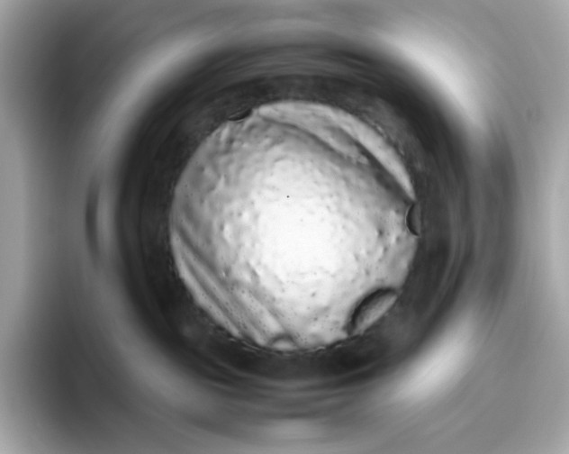 X0000094780189200711301553