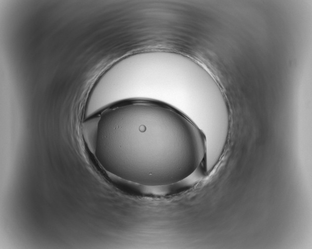 X0000094780193200711301553